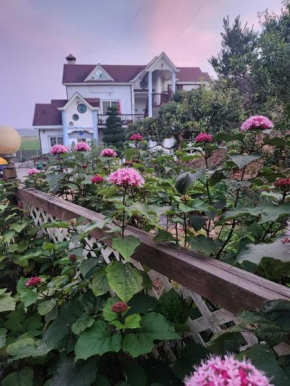 Taean Good Morning Pension